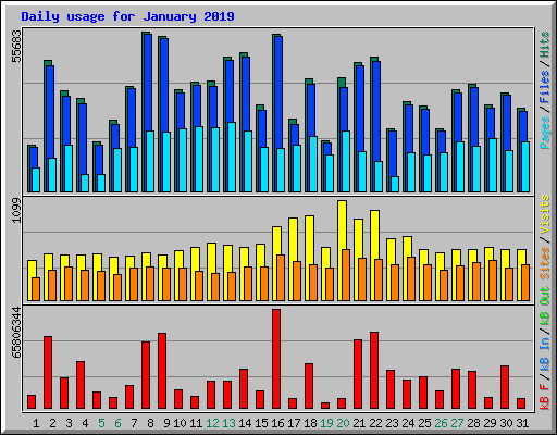 Daily usage for January 2019