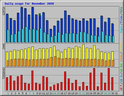 Daily usage for November 2020