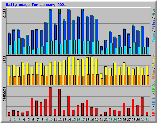 Daily usage for January 2021
