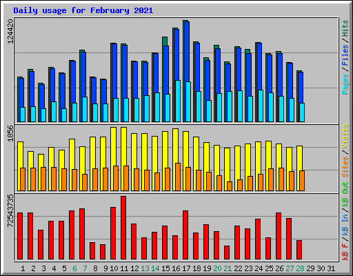 Daily usage for February 2021