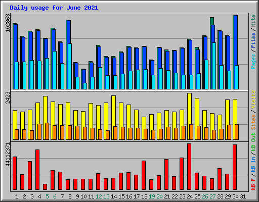 Daily usage for June 2021