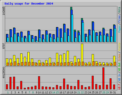 Daily usage for December 2024