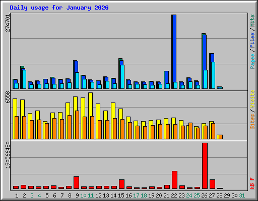Daily usage for January 2026