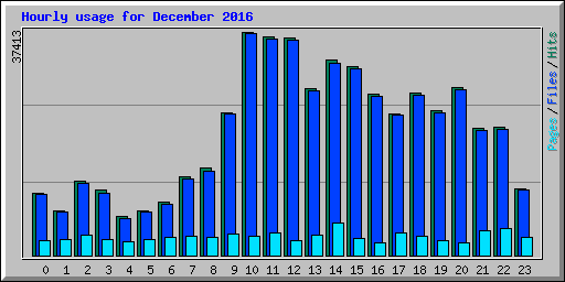 Hourly usage for December 2016