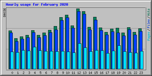 Hourly usage for February 2020