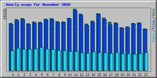 Hourly usage for November 2020