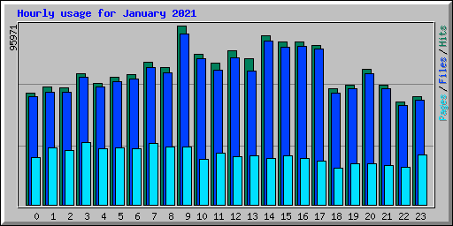 Hourly usage for January 2021
