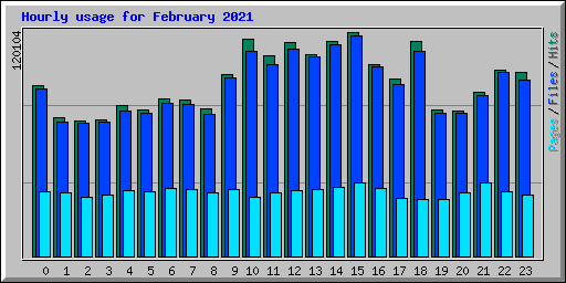 Hourly usage for February 2021