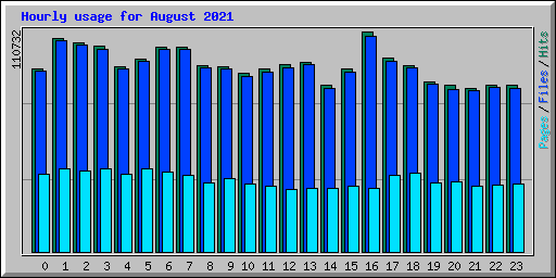 Hourly usage for August 2021