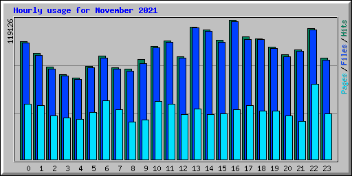 Hourly usage for November 2021