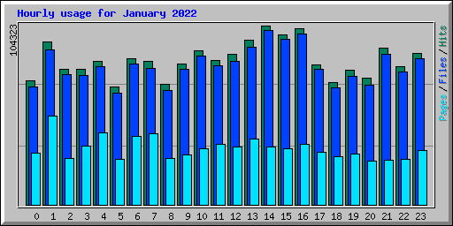 Hourly usage for January 2022