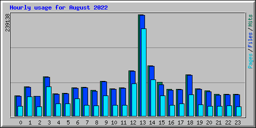 Hourly usage for August 2022