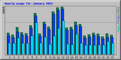 Hourly usage for January 2023