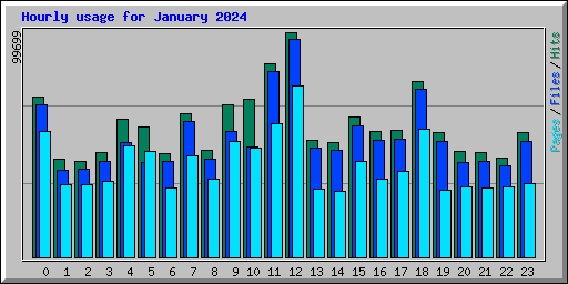 Hourly usage for January 2024