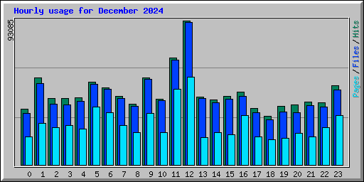 Hourly usage for December 2024