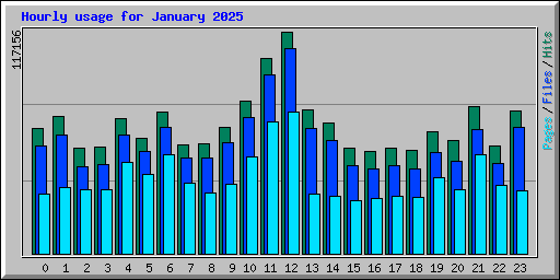 Hourly usage for January 2025