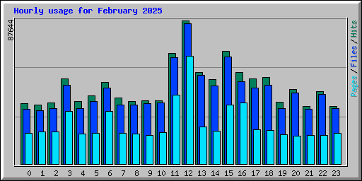 Hourly usage for February 2025