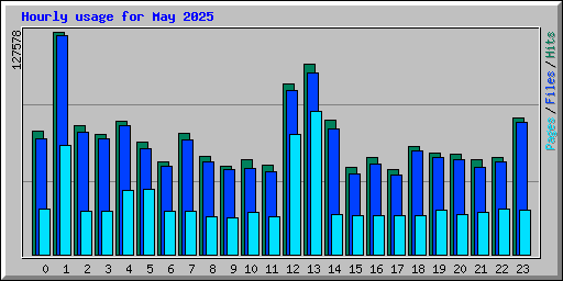 Hourly usage for May 2025