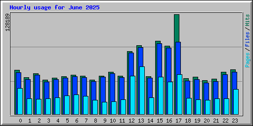 Hourly usage for June 2025
