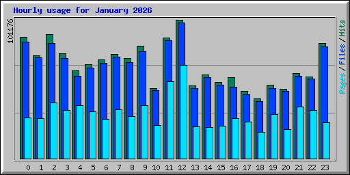 Hourly usage for January 2026