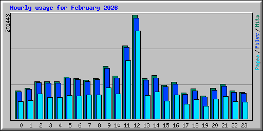 Hourly usage for February 2026